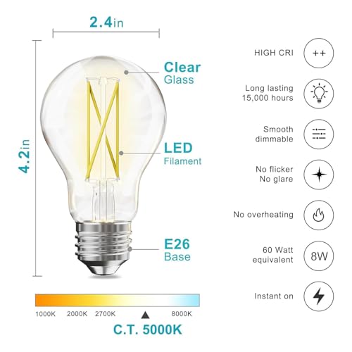 6 Pack A19 Vintage LED Edison Bulbs (6 Count)