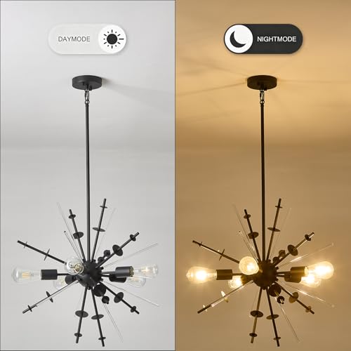 Modern Chandelier Ceiling Light Fixture