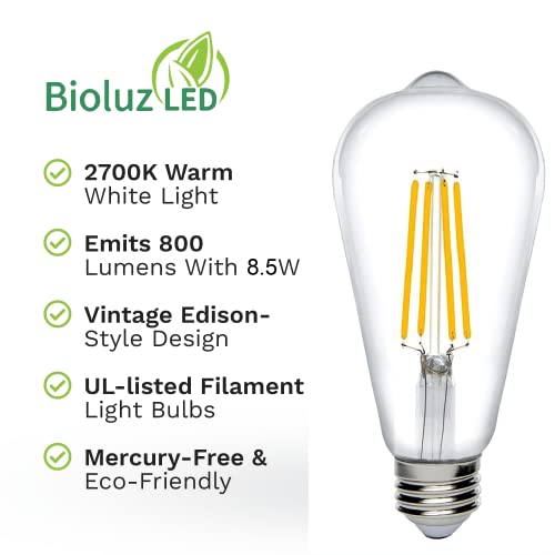 Vintage Edison LED Bulb