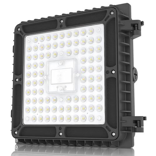 LED Canopy Light 65W