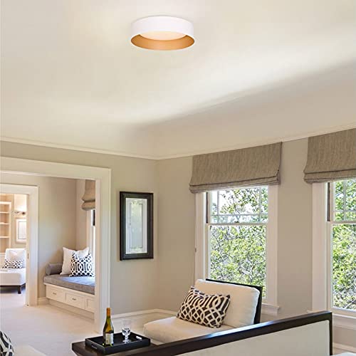 Flush Mount Ceiling Light