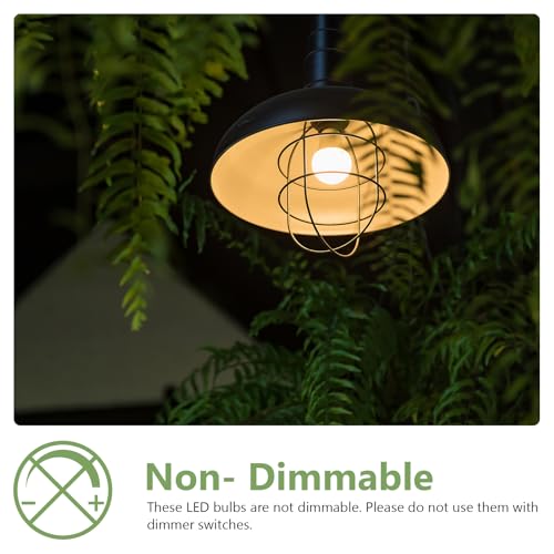 A19 LED Light Bulbs 60W Equivalent (4 Count)