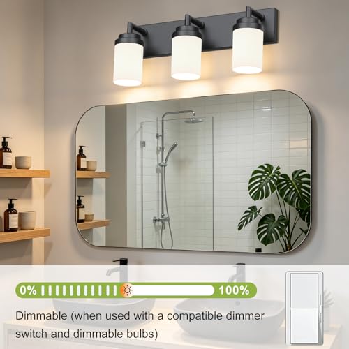 Bathroom Light Fixtures