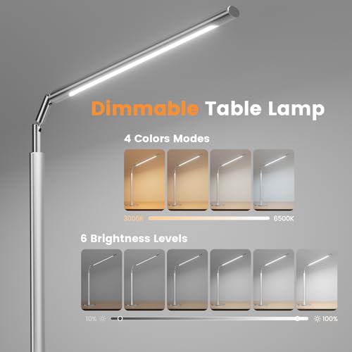 Silver LED Desk Lamp
