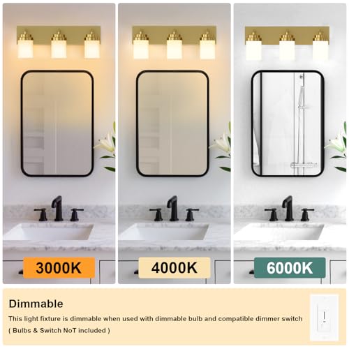 Bathroom Vanity Light Fixture