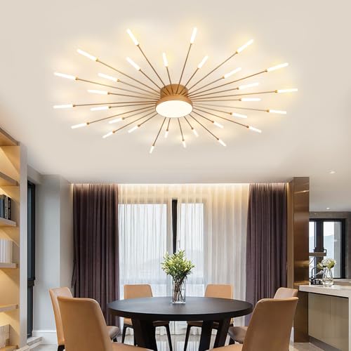 Modern Ceiling Light