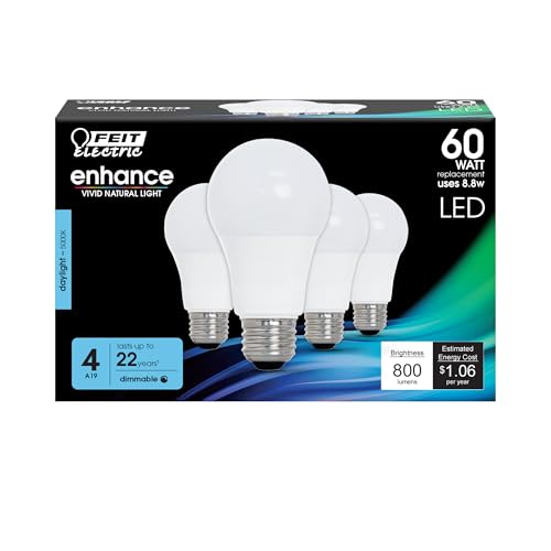 A19 LED Light Bulbs (4 Count)