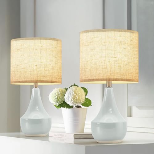 Small Lampshades Set of 2 (2 Count)