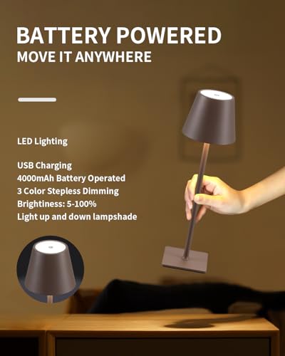 2 Pack Cordless Brown Table Lamps (2 Count)