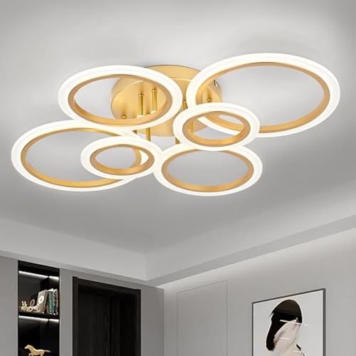 Modern LED Ceiling Light