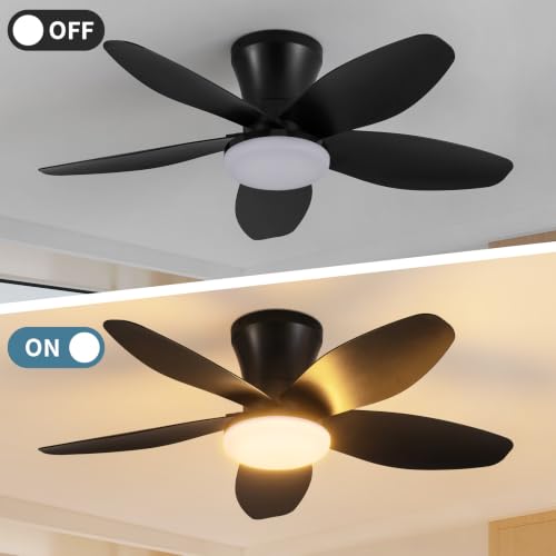 Small Ceiling Fan with Lights (32 Inch)