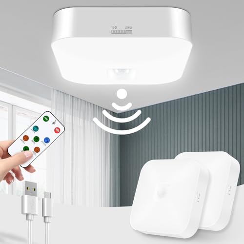 Rechargeable Motion Sensor Ceiling Light with Remote