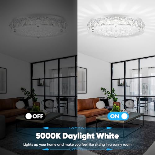 Crystal Flush Mount Ceiling Light