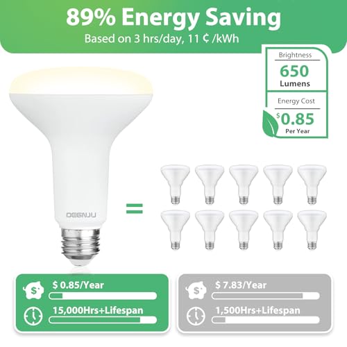 12 Pack BR30 LED Recessed Light Bulb (12 Count)