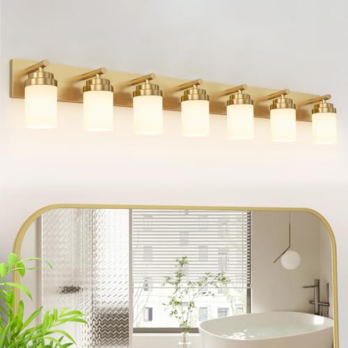 Bathroom Vanity Light Fixture