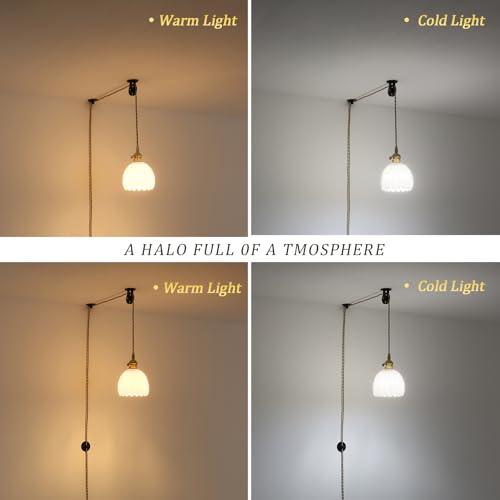 Plug in Pendant Light Hanging Light Fixture Corded On