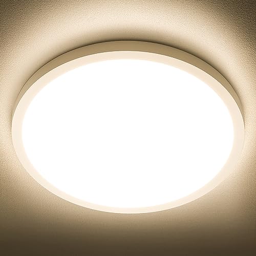 LED Flush Mount Ceiling Light 3000K
