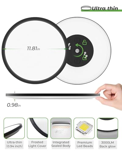 12 Inch Black Ceiling Light (2 Count)