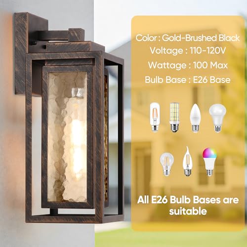 Exterior Porch Light Fixture (2 Count)