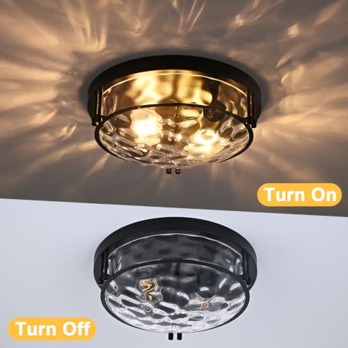 Black 2 Light Ceiling Light Fixture with Hammered Glass