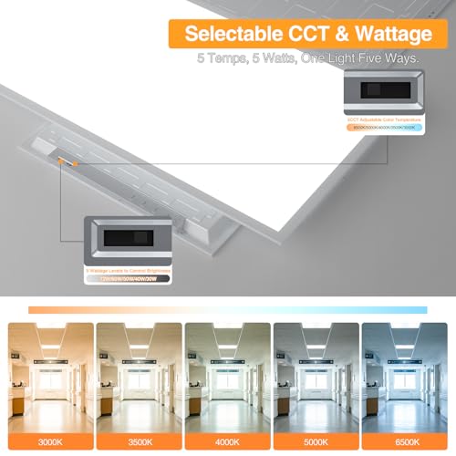 2x4 LED Flat Panel Light (2 Count)
