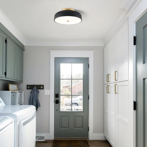 Dimmable LED Ceiling Light Fixture