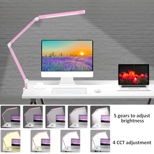 Architect Desk Lamp with Clamp