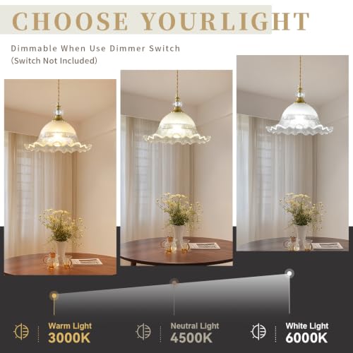 1 Pack Vintage Brushed Gold Crystal Transparent Glass Pendant Light Fixture (Golden / 1-Light)