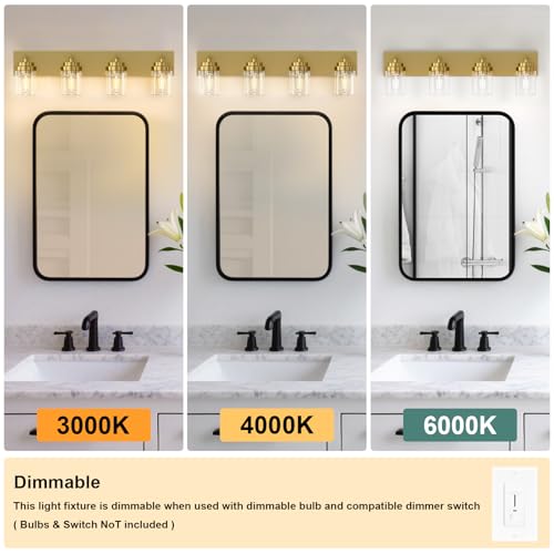 Bathroom Vanity Light Fixture