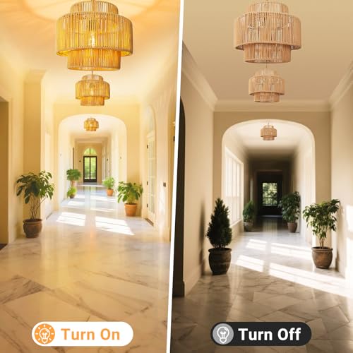 Hanging Light Lamp Shades Boho Rattan Lamp Shades