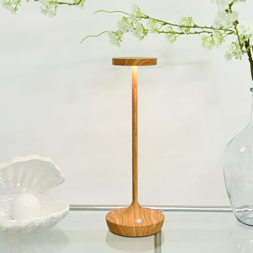 2 Pack Cordless Table Lamps