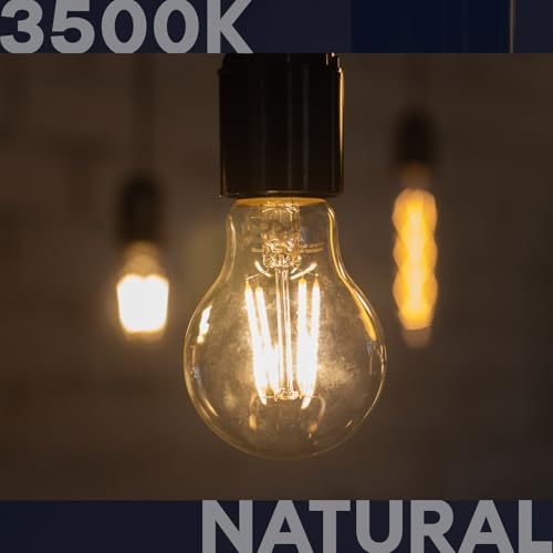 Vintage A19 LED Light Bulbs 100W Equivalent (2 Count)