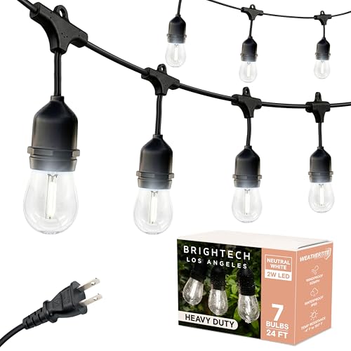 Ambience Pro 24 Ft Waterproof LED Outdoor String Lights (24 Foot)