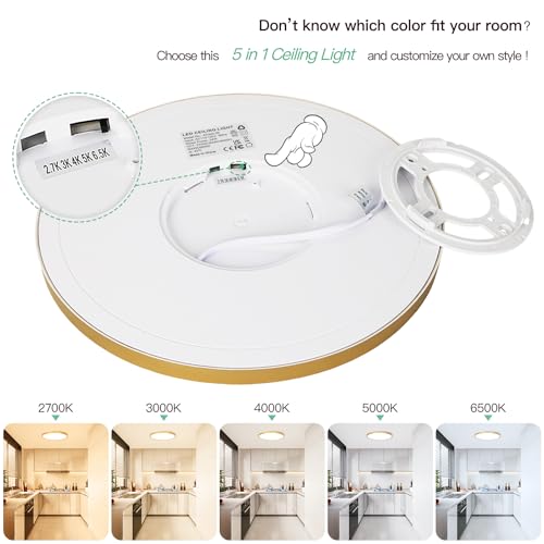 12 Inch LED Flush Mount Ceiling Light Fixture (2 Count)