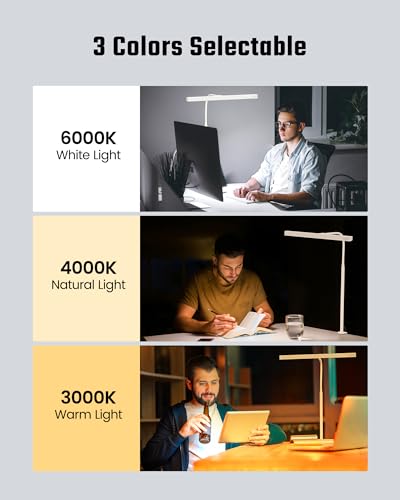 LED Desk Lamp for Office Home