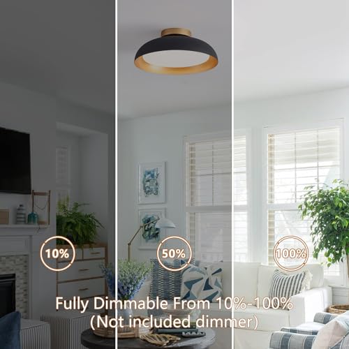 Flush Mount Ceiling Light