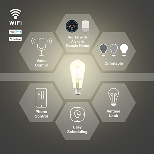Sylvania WiFi LED Smart ST19 Light Bulb