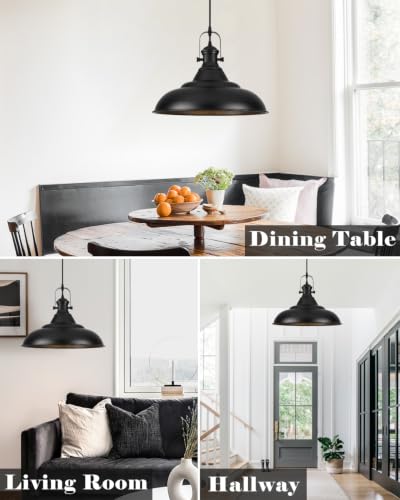 16 Inch Black Pendant Light