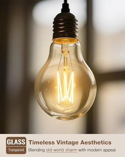 A19 Soft White Edison Bulbs (6 Count)