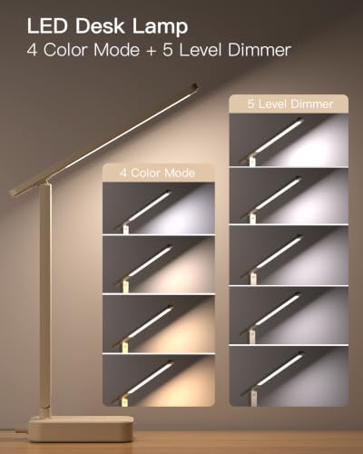 LED Desk Lamp