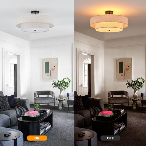 Modern Semi Flush Mount Ceiling Light 21.7" Modern Black 4