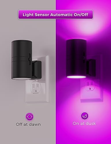 Purple Night Light (2 Count)