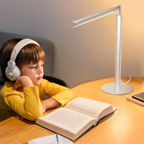 Silver LED Desk Lamp