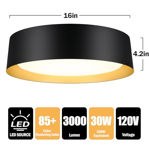 Flush Mount Ceiling Light