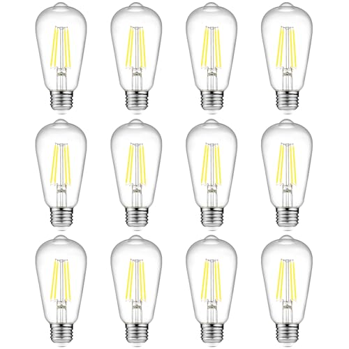 Vintage LED Edison Bulbs (12 Count)
