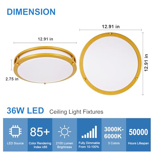 DLLT Flush Mount LED Ceiling Light (2 Count)