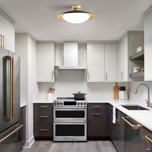 Dimmable Modern LED Black and Gold Ceiling Light Fixture 15.75 in