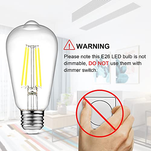 Vintage LED Edison Bulbs (4 Count)