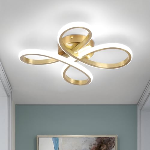 Modern LED Ceiling Light