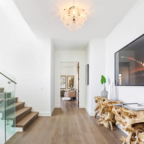 Modern Flush Mount Glass Ceiling Light